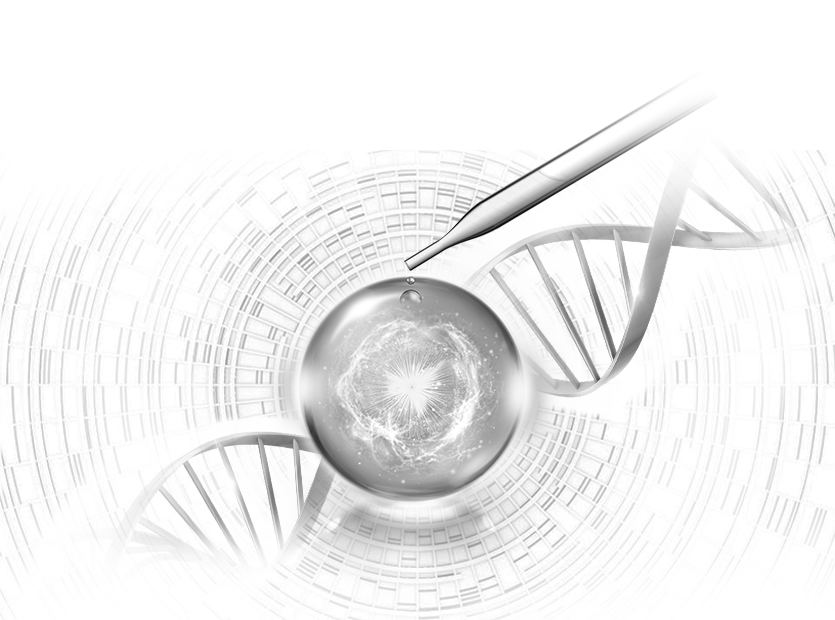 灵芝孢子纯多糖分子
